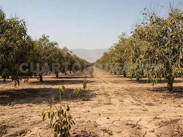 Advierten 2026 con calores y sequía Advierten 2026 con calores y sequía
