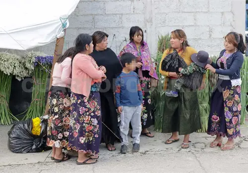 Buscan castigar la cohabitación forzada Buscan castigar la cohabitación forzada