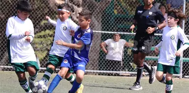 La Liga Tuchtl&aacute;n vuelve a la actividad