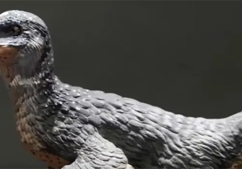 Descubren un nuevo dinosaurio