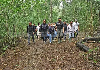 Impulsa protecci&oacute;n en Marqu&eacute;s de Comillas