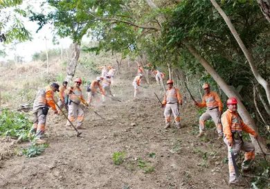 En acuerdos de prevenci&oacute;n 17 municipios