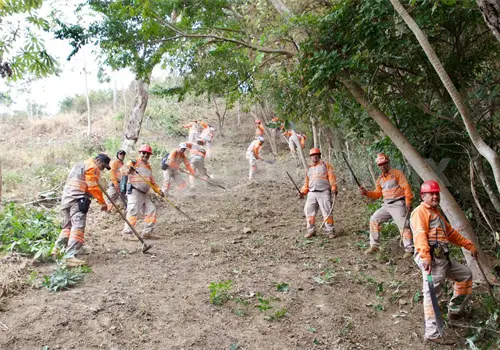 En acuerdos de prevenci&oacute;n 17 municipios