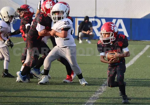 OEFA presenta calendario y clubes confirmados