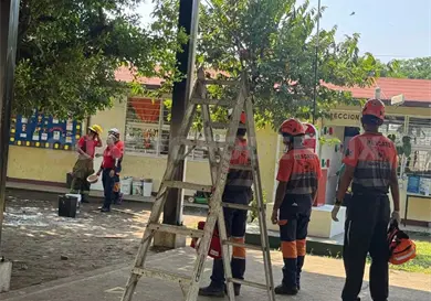 Controlan ataque de abejas en primaria Controlan ataque de abejas en primaria