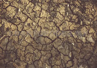 Afecta erosi&oacute;n del suelo en todo