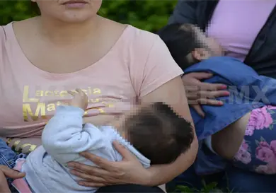 Lactancia materna: v&iacute;nculo de vida y salud