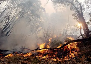 Aumentan incendios durante temporada de estiaje