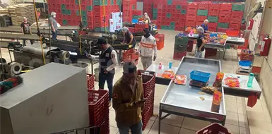 Clausuran f&aacute;brica de tostadas en Comit&aacute;n