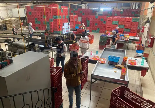 Clausuran f&aacute;brica de tostadas en Comit&aacute;n