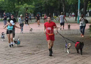 Todo listo para Movimiento Perr&oacute;n 2026