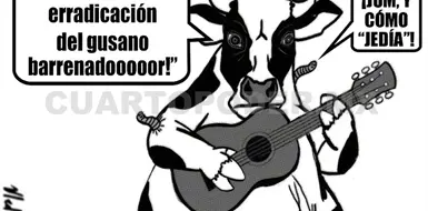 Sigue cerrada la frontera por el gusano barrenador