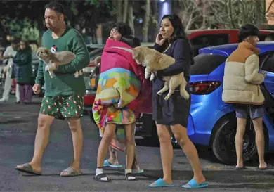 Sismo del 16 de enero en Guerrero fue una r&eacute;plica