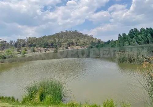 Realizar&aacute;n recorrido Safari Fotogr&aacute;fico