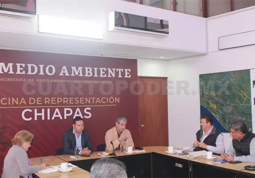 Coordinaci&oacute;n y conciencia: claves para la regulaci&oacute;n