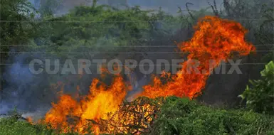 Sem&aacute;foro verde por incendios forestales