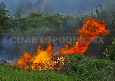Sem&aacute;foro verde por incendios forestales
