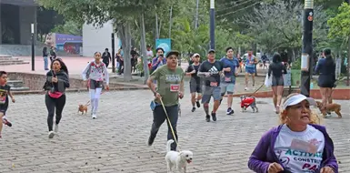 Movimiento Perr&oacute;n 2026 vive su 2&ordf; edici&oacute;n