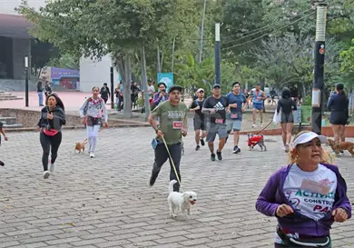 Movimiento Perr&oacute;n 2026 vive su 2&ordf; edici&oacute;n