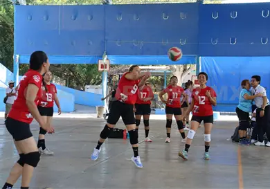 Panteras regresa con triunfo a la actividad Panteras regresa con triunfo a la actividad