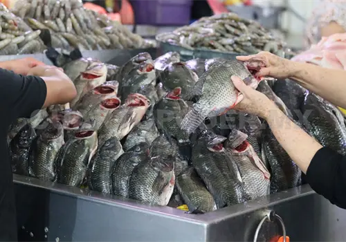 Fr&iacute;o afecta el abasto de pescados y mariscos