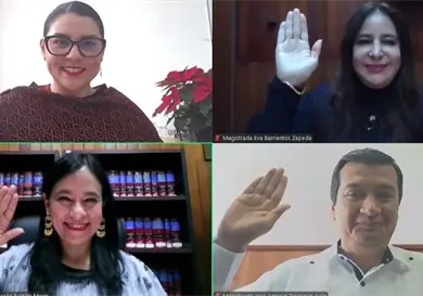 Valida TEPJF que consejero vote pese a no contar con mica Valida TEPJF que consejero vote pese a no contar con mica