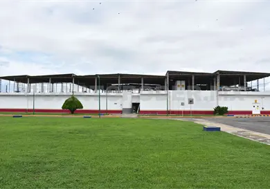 Iniciar&aacute; planta productora de moscas est&eacute;riles este a&ntilde;o