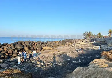 Levantan siete toneladas de desechos en playas Levantan siete toneladas de desechos en playas