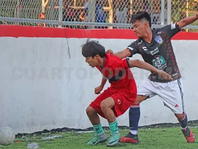 Hull City FC tuvo más garra que Leones Negros Hull City FC tuvo más garra que Leones Negros