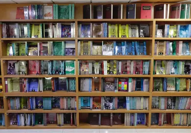 Chiapas en rezago lector