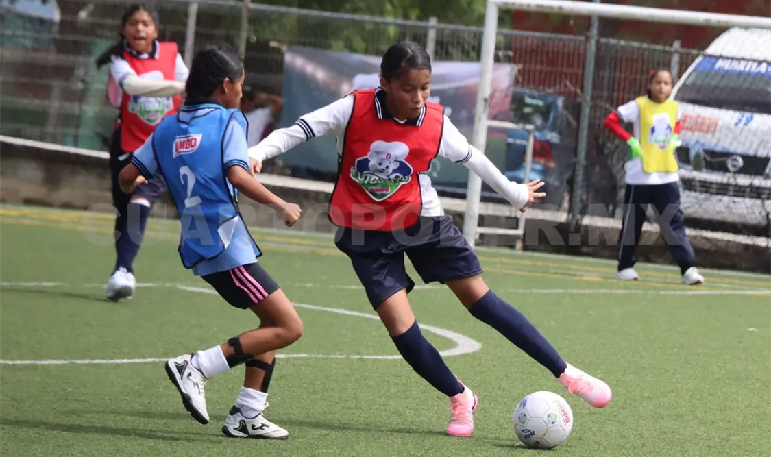 Primarias tuxtlecas se reportan listas