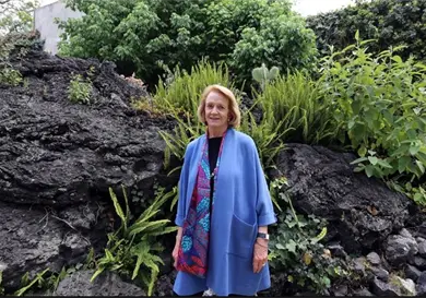 Louis Noelle recibe medalla Bellas Artes Louis Noelle recibe medalla Bellas Artes