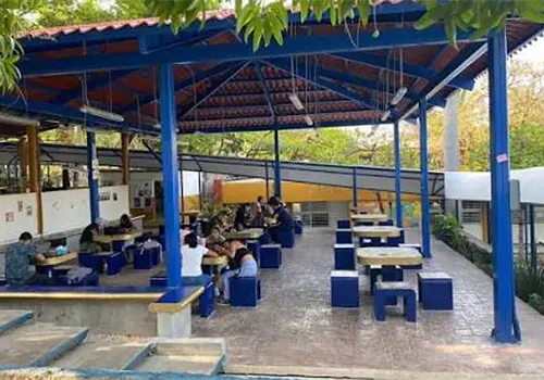 Invitan a titularse con un seminario Invitan a titularse con un seminario