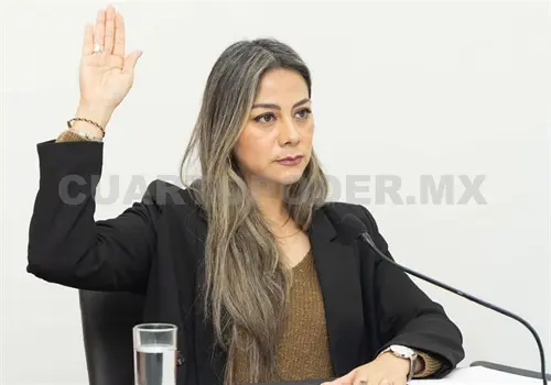Diputada aboga por reducir financiamiento partidista Diputada aboga por reducir financiamiento partidista