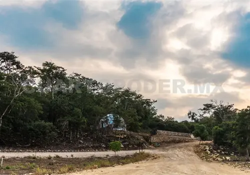 Autocinema, una nueva opción en Chiapas Autocinema, una nueva opción en Chiapas