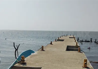 Muelle de Paredón, un peligro para turistas Muelle de Paredón, un peligro para turistas