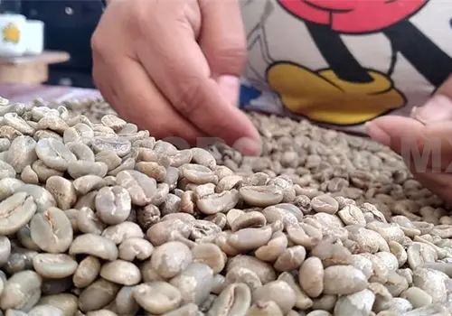 Piden frenar importaci&oacute;n de caf&eacute; de Vietnam