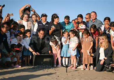 Encabeza ERA liberación de tortugas marinas Encabeza ERA liberación de tortugas marinas