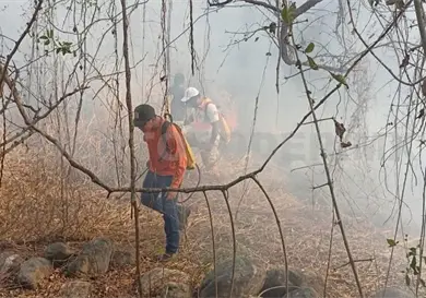 Violento incendio acaba con parcelas en Arriaga Violento incendio acaba con parcelas en Arriaga