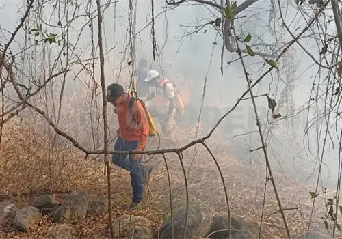 Violento incendio acaba con parcelas en Arriaga Violento incendio acaba con parcelas en Arriaga