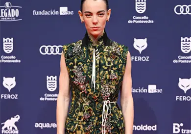 Alfombra roja de los Premios Feroz 2026