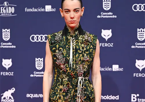 Alfombra roja de los Premios Feroz 2026