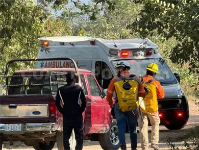 Abejas atacan a familia y fallece un adulto mayor por picaduras Abejas atacan a familia y fallece un adulto mayor por picaduras
