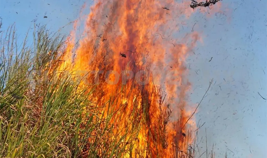 Ocho incendios en el país duraron entre 4 y 7 días. Diego Pérez / CP
