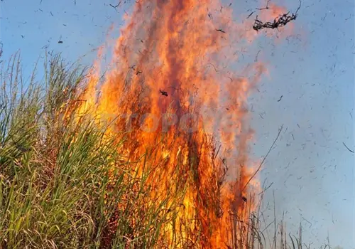 Segundo lugar en superficie quemada Segundo lugar en superficie quemada