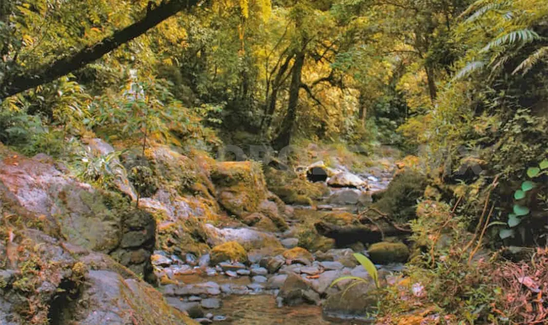 Señalan la falta de decretos o leyes especiales que hablen de la regulación de este vital líquido. Jofiel Domínguez / CP