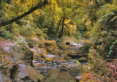 Relaci&oacute;n de SCLC con el agua es complicada