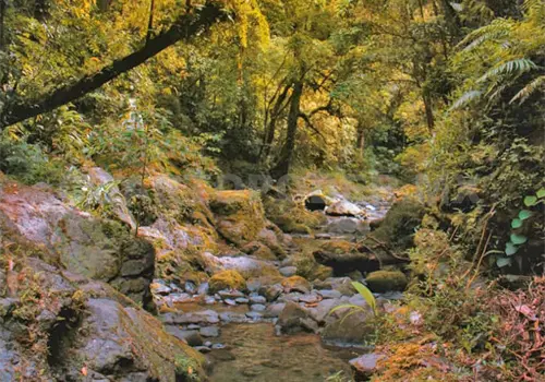 Relación de SCLC con el agua es complicada Relación de SCLC con el agua es complicada