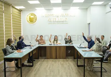 Buscan profesionalizar a secretarías de seguridad Buscan profesionalizar a secretarías de seguridad