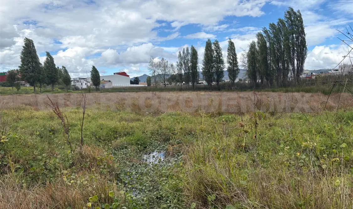 Antes del asentamiento urbano, el territorio contaba con dos mil 500 hectáreas de humedales. Jofiel Domínguez / CP